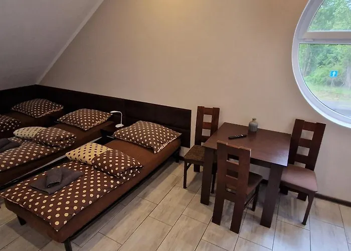 Kancelaria אורחן שצ'צ'ין