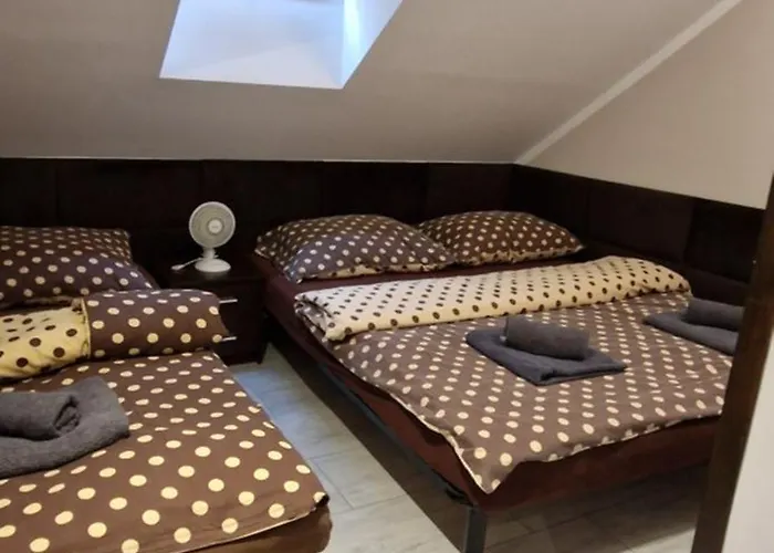 Kancelaria שצ'צ'ין